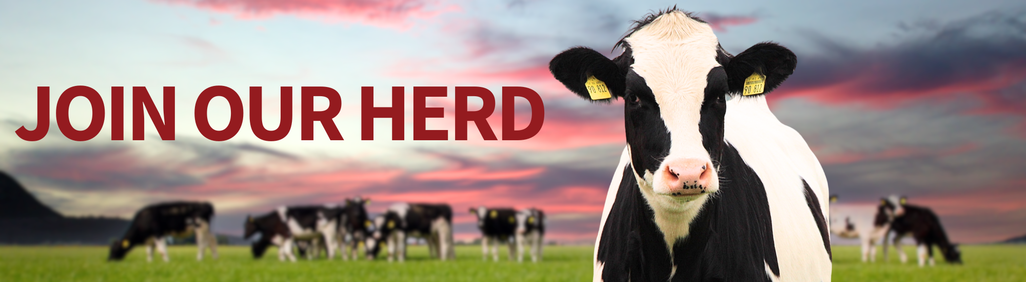 Join Our Herd